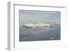 Chukchi Sea, Russian Far East, Eurasia-G and M Therin-Weise-Framed Photographic Print