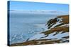 Chukotka. Southern Coast of the Arctic Ocean.-AlexSid-Stretched Canvas