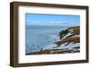 Chukotka. Southern Coast of the Arctic Ocean.-AlexSid-Framed Photographic Print