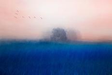 The Tree on the Blue-Chunggook Yang-Photographic Print