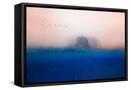 Framed Canvas