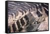 Chuquicamata Copper Mine-Charles Bowman-Framed Stretched Canvas