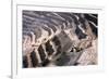 Chuquicamata Copper Mine-Charles Bowman-Framed Photographic Print