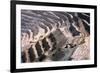 Chuquicamata Copper Mine-Charles Bowman-Framed Photographic Print