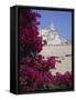 Church and Bougainvillea Flowers, Cadaques, Costa Brava, Catalonia (Cataluna) (Catalunya), Spain-Ruth Tomlinson-Framed Stretched Canvas