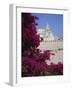 Church and Bougainvillea Flowers, Cadaques, Costa Brava, Catalonia (Cataluna) (Catalunya), Spain-Ruth Tomlinson-Framed Photographic Print