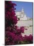 Church and Bougainvillea Flowers, Cadaques, Costa Brava, Catalonia (Cataluna) (Catalunya), Spain-Ruth Tomlinson-Mounted Photographic Print