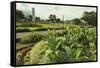 Church and Park in This Tourist Hub Town Near the Hot Springs and Arenal Volcano-Rob Francis-Framed Stretched Canvas