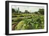 Church and Park in This Tourist Hub Town Near the Hot Springs and Arenal Volcano-Rob Francis-Framed Photographic Print