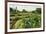 Church and Park in This Tourist Hub Town Near the Hot Springs and Arenal Volcano-Rob Francis-Framed Photographic Print