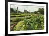 Church and Park in This Tourist Hub Town Near the Hot Springs and Arenal Volcano-Rob Francis-Framed Photographic Print