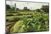 Church and Park in This Tourist Hub Town Near the Hot Springs and Arenal Volcano-Rob Francis-Mounted Premium Photographic Print