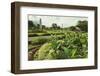 Church and Park in This Tourist Hub Town Near the Hot Springs and Arenal Volcano-Rob Francis-Framed Photographic Print