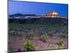 Church and village of San Vicente de la Sonsierra, La Rioja, Spain-Janis Miglavs-Mounted Photographic Print