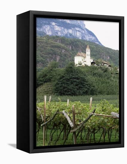 Church and Vines at Missiano, Caldero Wine District, Bolzano, Alto Adige, Italy-Michael Newton-Framed Stretched Canvas