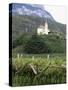 Church and Vines at Missiano, Caldero Wine District, Bolzano, Alto Adige, Italy-Michael Newton-Stretched Canvas