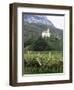 Church and Vines at Missiano, Caldero Wine District, Bolzano, Alto Adige, Italy-Michael Newton-Framed Photographic Print