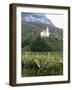 Church and Vines at Missiano, Caldero Wine District, Bolzano, Alto Adige, Italy-Michael Newton-Framed Photographic Print