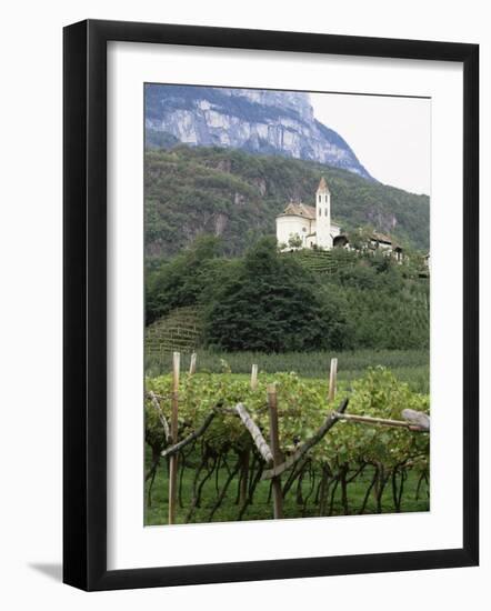 Church and Vines at Missiano, Caldero Wine District, Bolzano, Alto Adige, Italy-Michael Newton-Framed Photographic Print