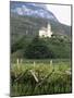 Church and Vines at Missiano, Caldero Wine District, Bolzano, Alto Adige, Italy-Michael Newton-Mounted Photographic Print