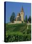 Church and Vineyards, Hunawihr, Alsace, France, Europe-John Miller-Stretched Canvas