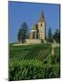 Church and Vineyards, Hunawihr, Alsace, France, Europe-John Miller-Mounted Photographic Print