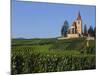 Church and Vineyards, Hunawihr, Alsace, France-John Miller-Mounted Photographic Print