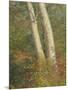 Wood Mount