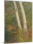 Wood Mount