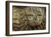 Church Carving-Den Reader-Framed Photographic Print