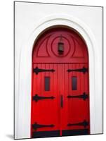 Church Door, Darien, Georgia, USA-Joanne Wells-Mounted Premium Photographic Print