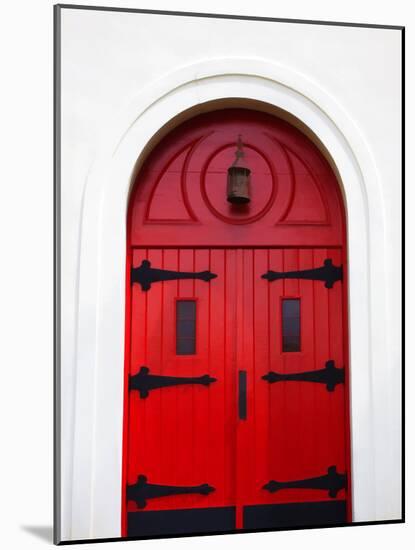 Church Door, Darien, Georgia, USA-Joanne Wells-Mounted Photographic Print