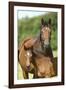 Church Farm UK 004-Bob Langrish-Framed Photographic Print