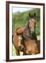 Church Farm UK 004-Bob Langrish-Framed Photographic Print