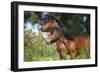 Church Farm UK 007-Bob Langrish-Framed Photographic Print