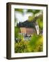 Church Heiliger Mauritius (Saint Maurice). Historic village Spitz located in wine-growing area-Martin Zwick-Framed Photographic Print