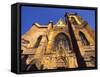 Church in Colmar, Alsace, France-Guy Thouvenin-Framed Stretched Canvas