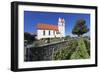 Church in Horn, Peninsula Hori, Lake Constance (Bodensee), Baden Wurttemberg, Germany, Europe-Markus Lange-Framed Photographic Print