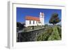 Church in Horn, Peninsula Hori, Lake Constance (Bodensee), Baden Wurttemberg, Germany, Europe-Markus Lange-Framed Photographic Print