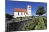 Church in Horn, Peninsula Hori, Lake Constance (Bodensee), Baden Wurttemberg, Germany, Europe-Markus Lange-Mounted Photographic Print