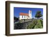 Church in Horn, Peninsula Hori, Lake Constance (Bodensee), Baden Wurttemberg, Germany, Europe-Markus Lange-Framed Photographic Print