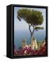 Church in Ravello-Peter Adams-Framed Stretched Canvas