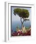 Church in Ravello-Peter Adams-Framed Photographic Print