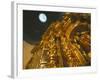 Church Interior, Quito, Ecuador, South America-Oliviero Olivieri-Framed Photographic Print