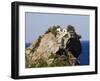 Church of Agios Ioannis, Used in the Film Mamma Mia, Skopelos, Sporades Islands, Greece-Robert Harding-Framed Photographic Print