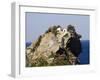 Church of Agios Ioannis, Used in the Film Mamma Mia, Skopelos, Sporades Islands, Greece-Robert Harding-Framed Photographic Print