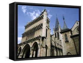 Church of Notre Dame, Dijon, Burgundy, France-Peter Thompson-Framed Stretched Canvas