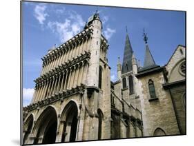 Church of Notre Dame, Dijon, Burgundy, France-Peter Thompson-Mounted Photographic Print