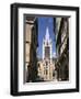 Church of Notre Dame, Dijon, Burgundy, France-Peter Thompson-Framed Photographic Print