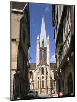 Church of Notre Dame, Dijon, Burgundy, France-Peter Thompson-Mounted Photographic Print